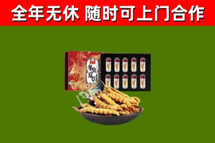 垣曲县回收冬虫夏草价格
